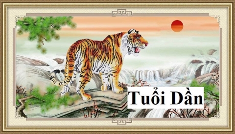 Tuổi dần 1986 hợp màu gì