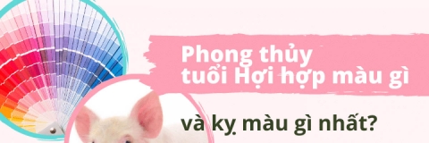 Tuổi Hợi 1995 hợp màu gì