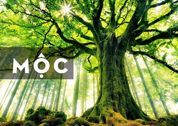 Năm 2022 tuổi ngọ hợp màu gì