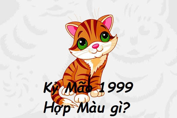 Tuổi Mão năm nay hợp màu gì