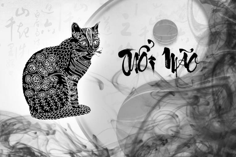 Năm nay tuổi Mão hợp màu gì