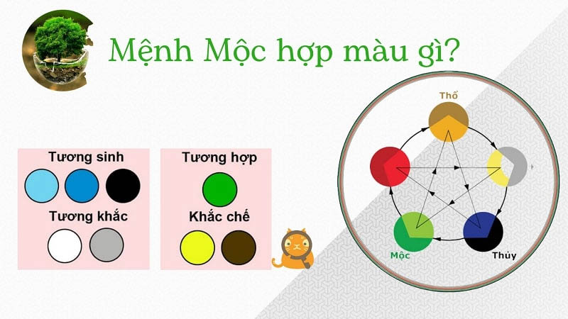 Mệnh Mộc hợp màu gì khi mua xe