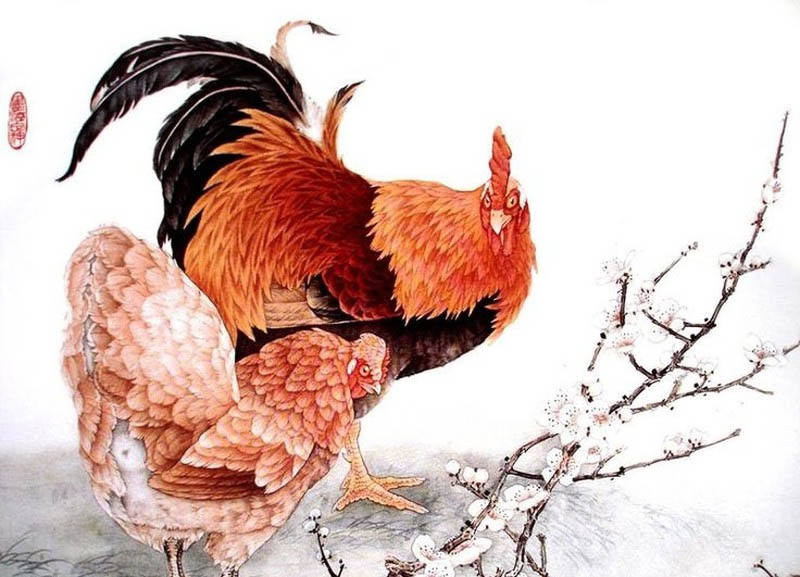 Năm 2022 tuổi Dậu hợp màu gì