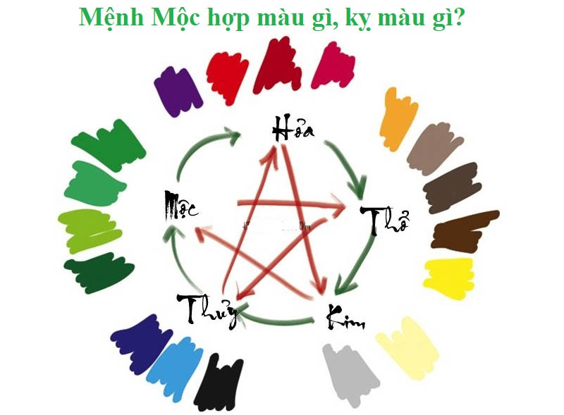 Tuổi Dậu 2022 hợp màu gì