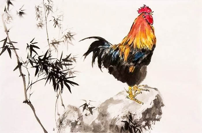 Tuổi Dậu 1981 hợp màu gì