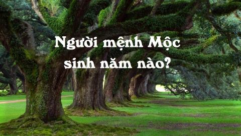 Người mệnh Mộc sinh năm nào