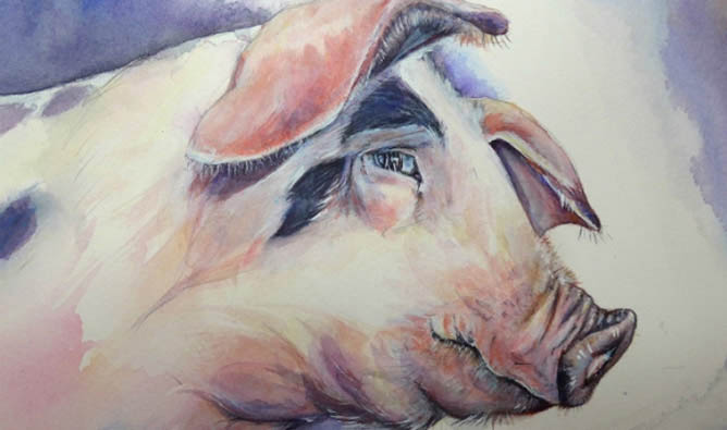 Tuổi Hợi năm 2022 hợp màu gì