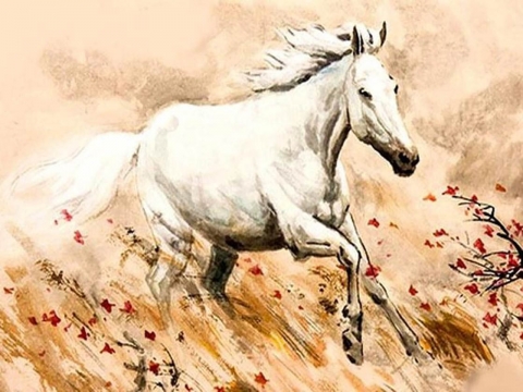 Tuổi ngọ 1966 hợp màu gì