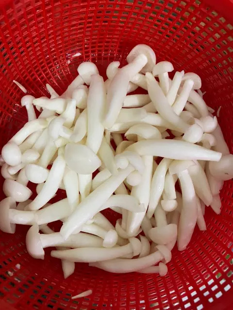 Rửa Nấm Linh Chi Trắng