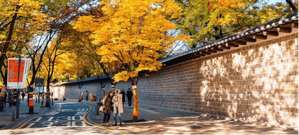 Con đường lãng mạn Deoksugung Doldam – gil