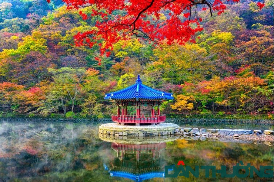 Công Viên Quốc Gia Naejangsan