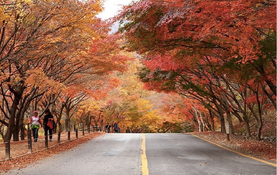 địa điểm du lịch hàn quốc