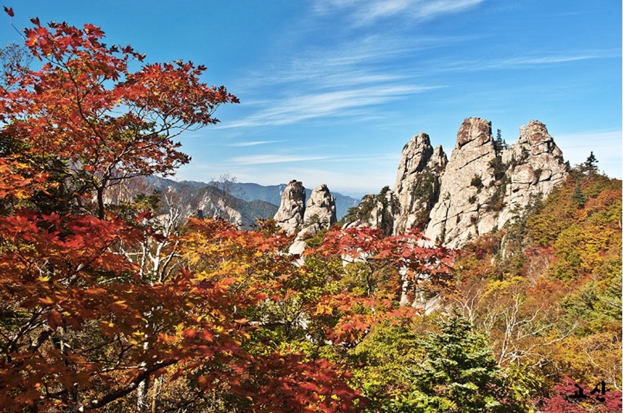 địa điểm du lịch hàn quốc